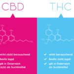 CBD und THC: Der Unterschied