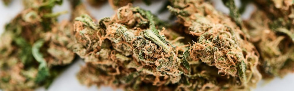 Was ist der Unterschied zwischen Cannabis und Marihuana?