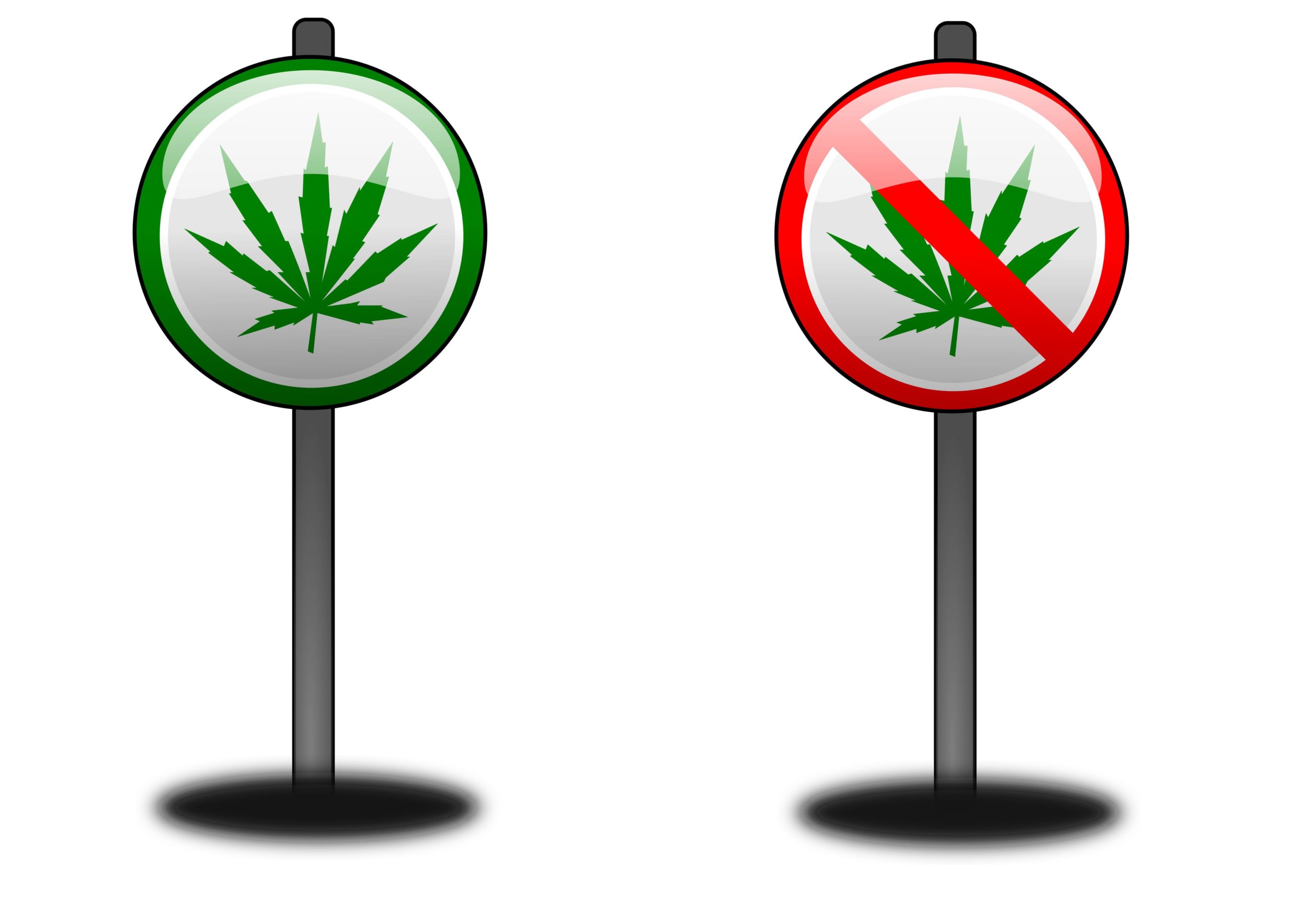 Cannabis legalisieren. Ja oder Nein?